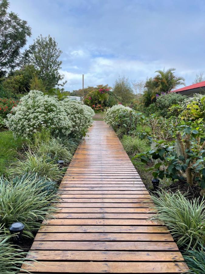 Teanehi Bed & Breakfast Hanga Roa Exterior foto